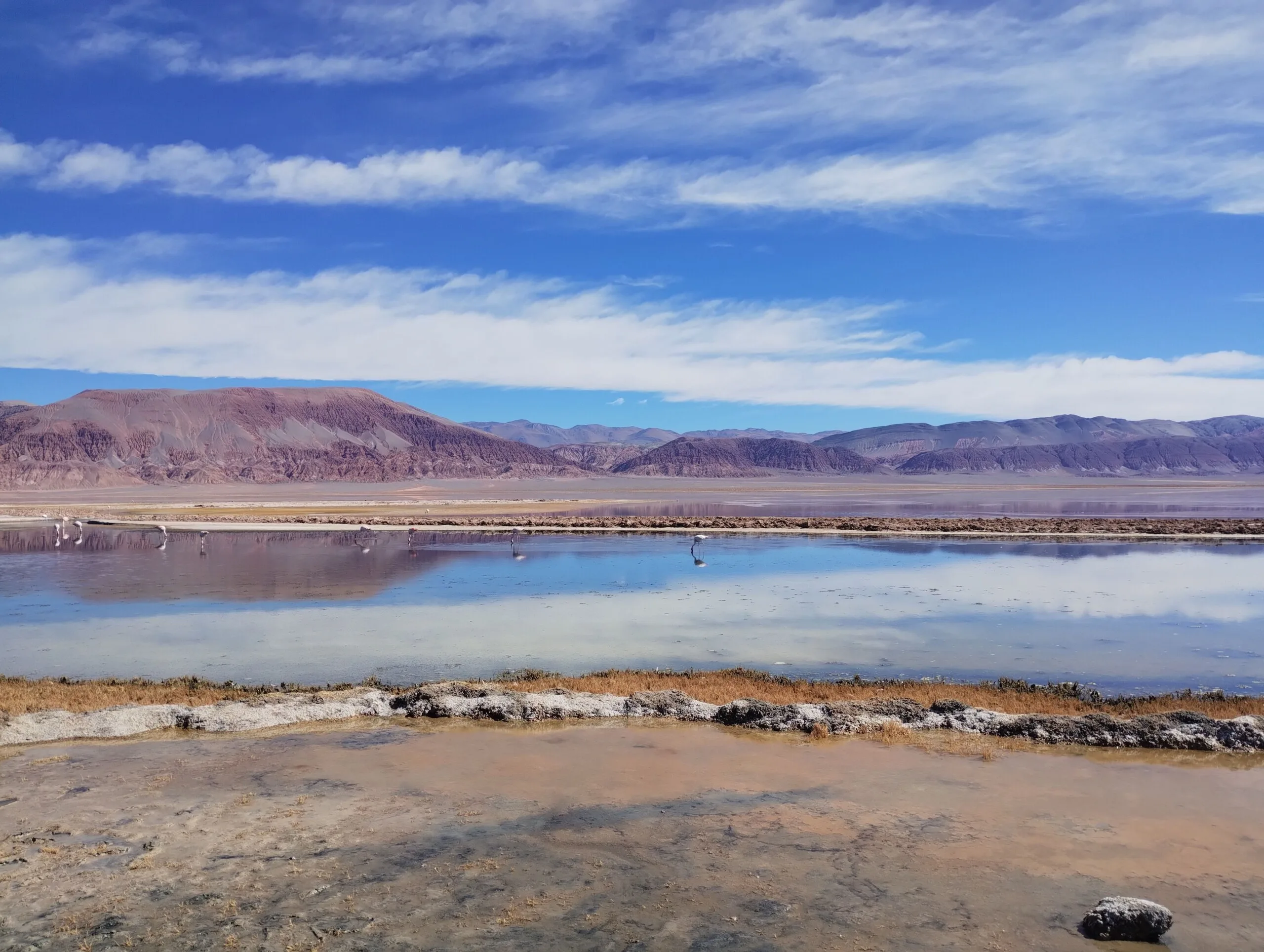 Volcán Galán en Antofagasta de la Sierra, Catamarca