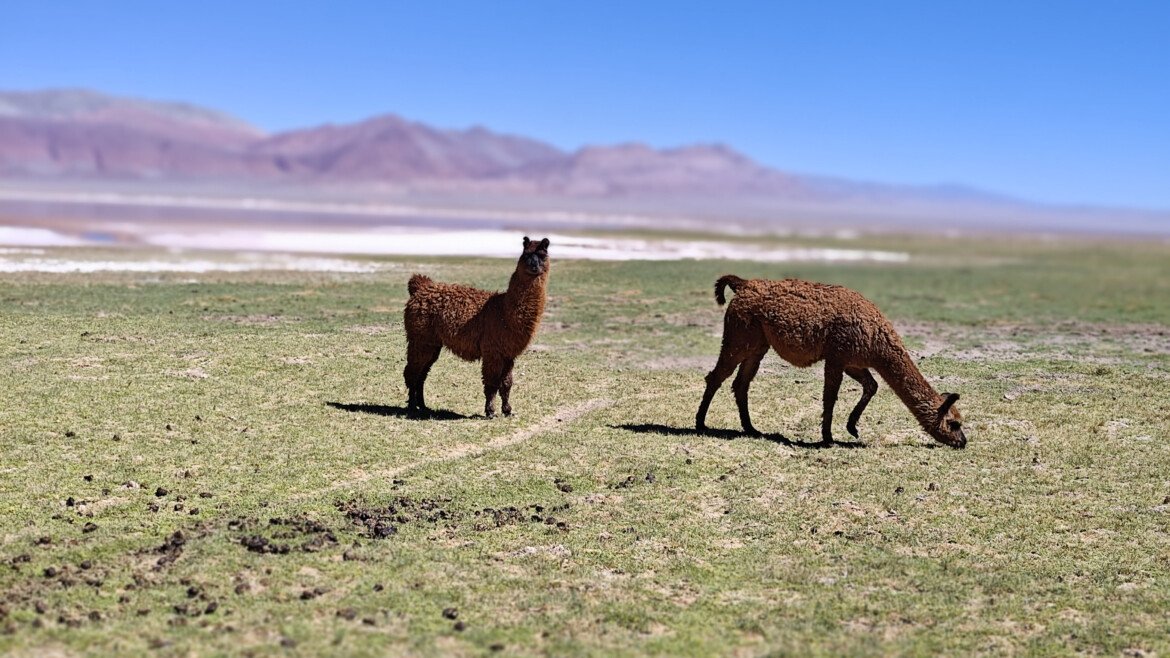 Que Visitar en Catamarca