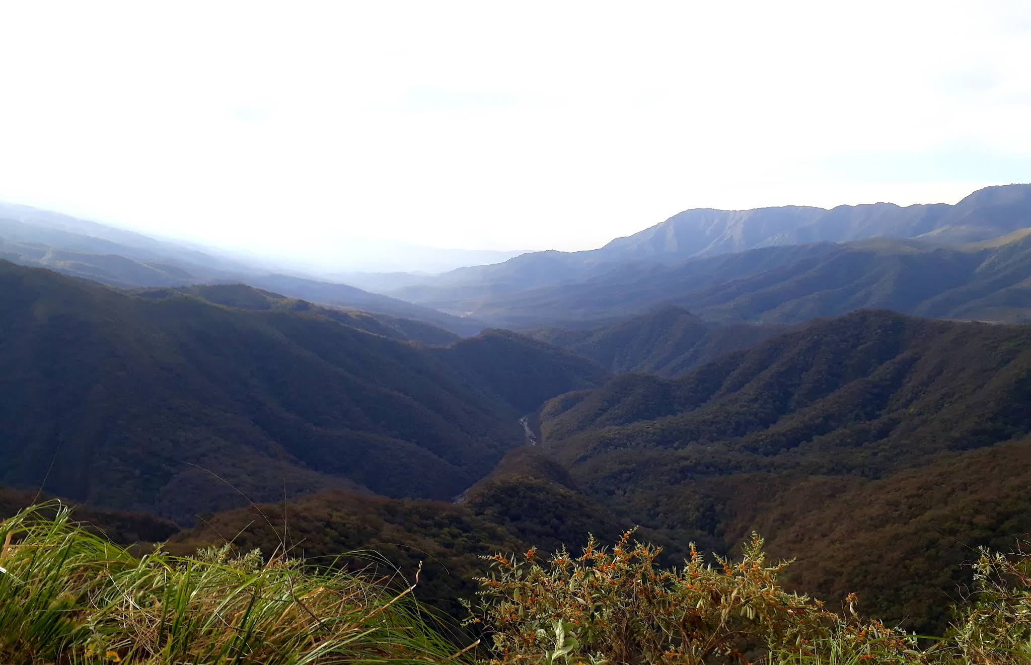 Cuesta de Singuil en Catamarca
