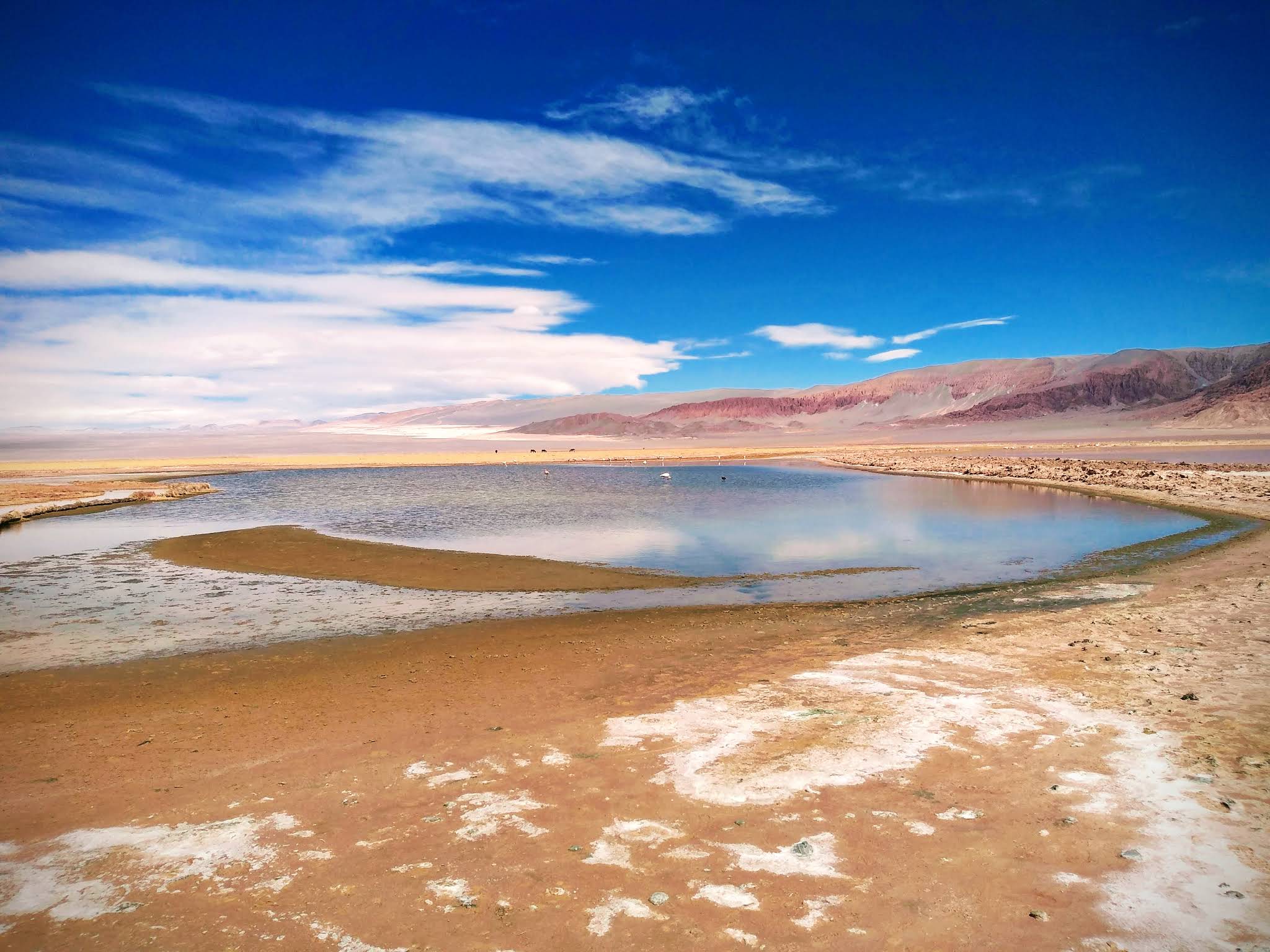Laguna Rosada en la Puna Catamarqueña