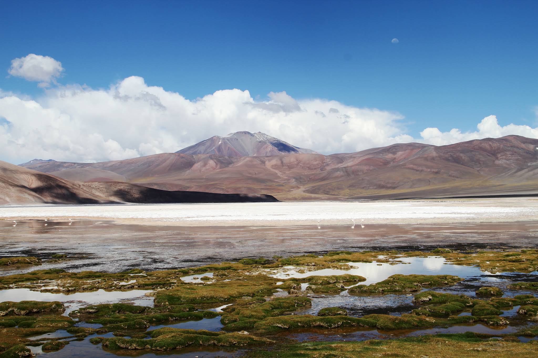 Laguna de los Aparejos camino al Balcón del Pissis