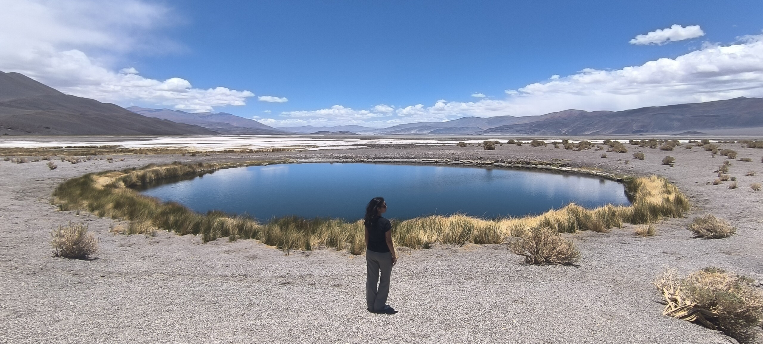 Lagunas de colores en Antofalla