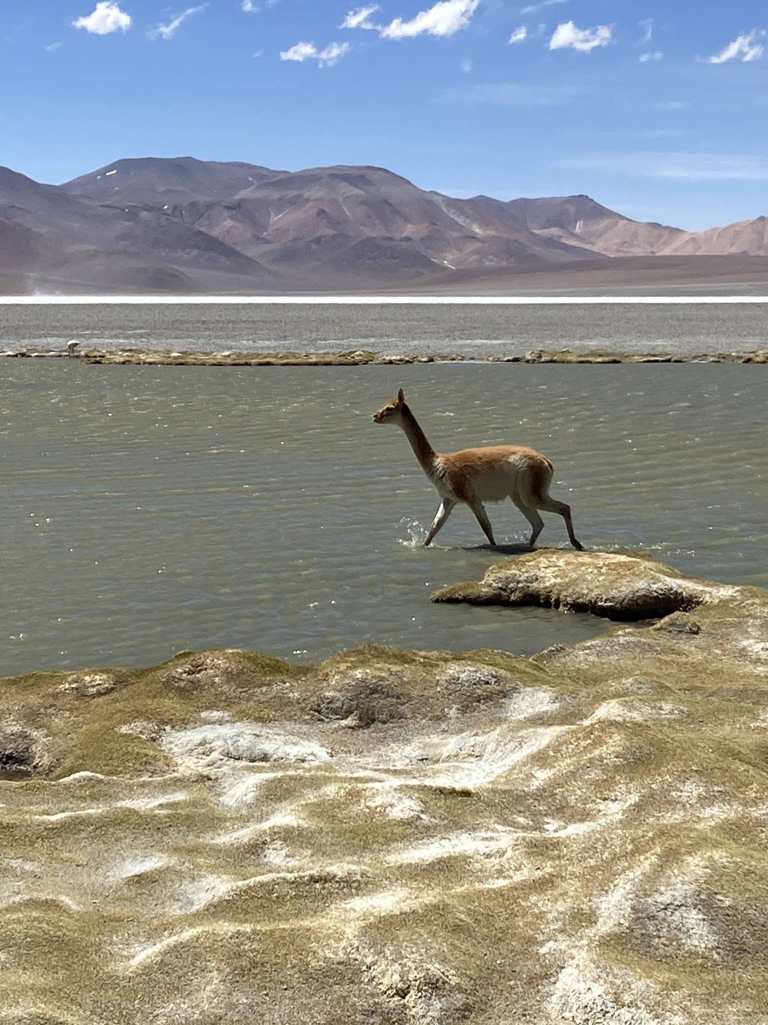 Volcán Galán en Antofagasta de la Sierra, Catamarca