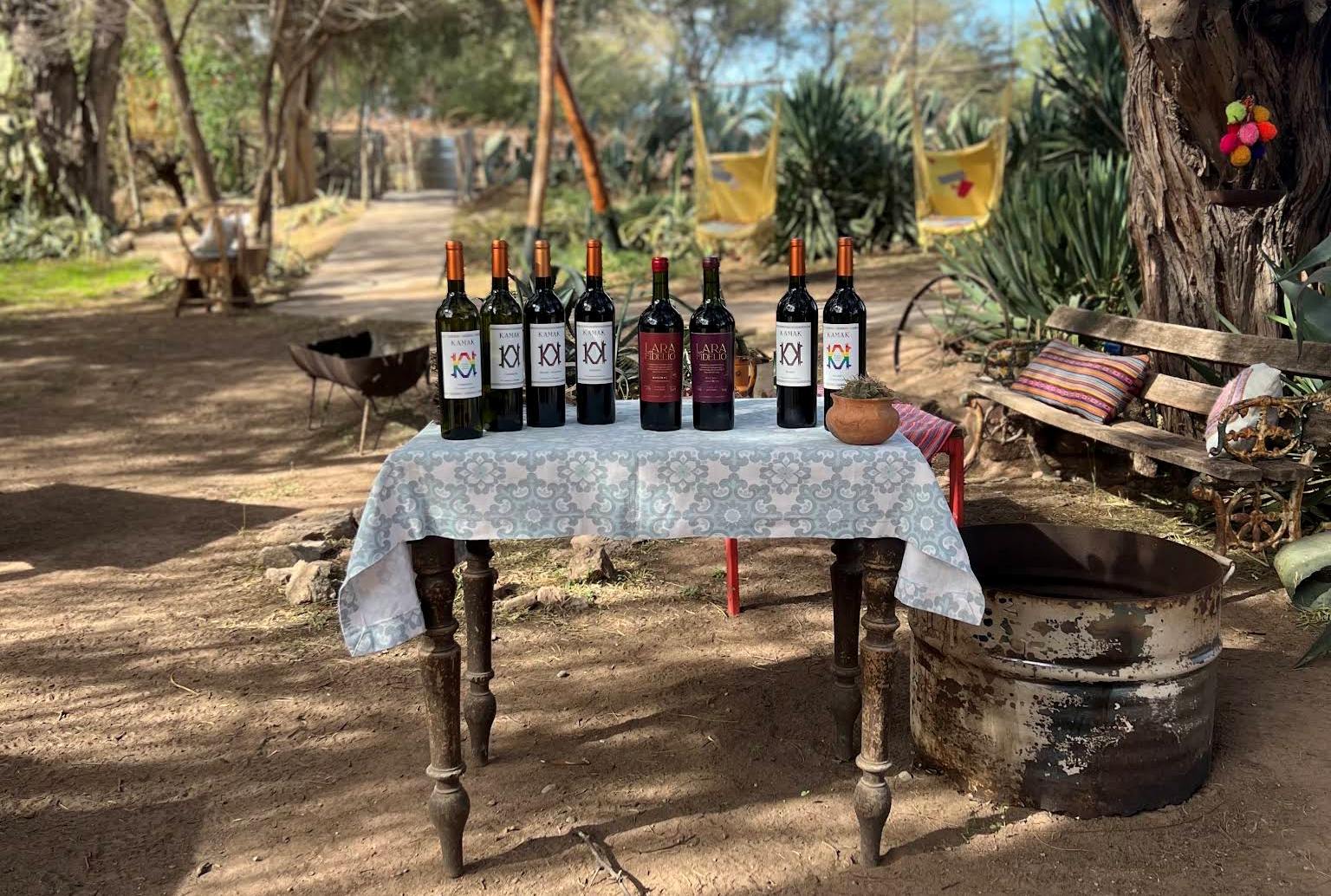 Viñedos y enoturismo en Tinogasta Catamarca