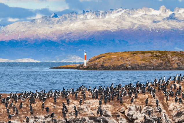 Ushuaia - 4 días / 3 noches