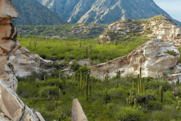 Vistas Catamarca: Panoramas Inolvidables